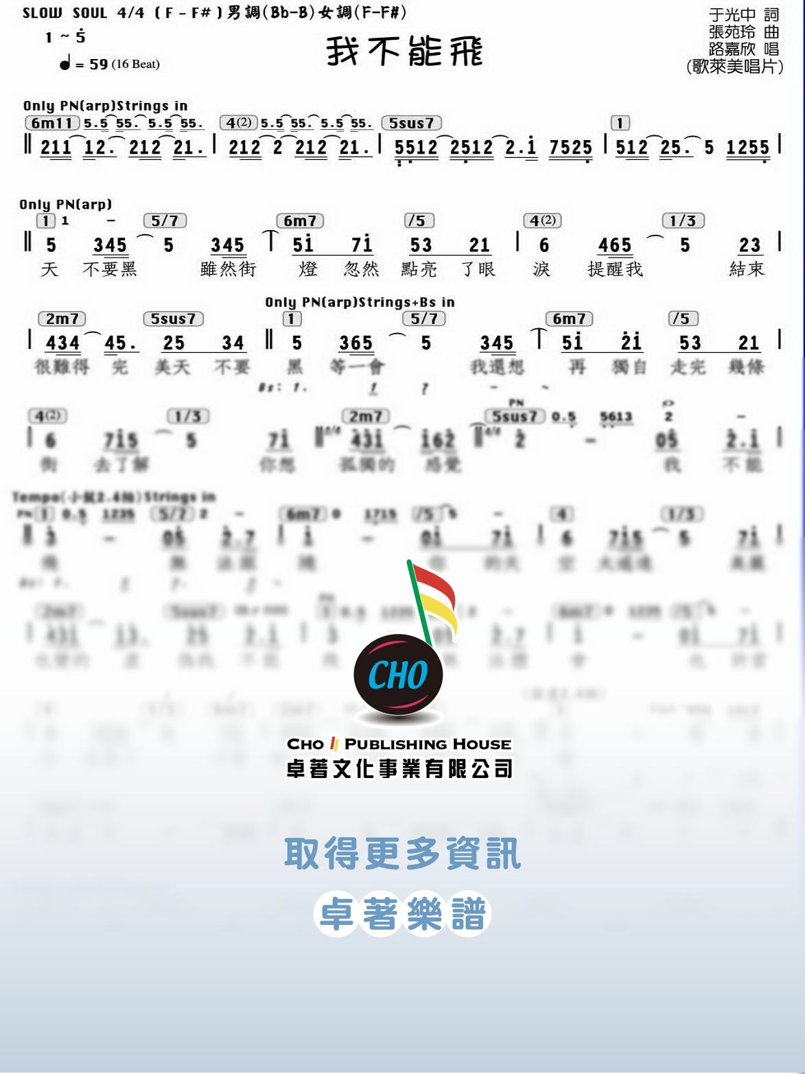 我不能飛